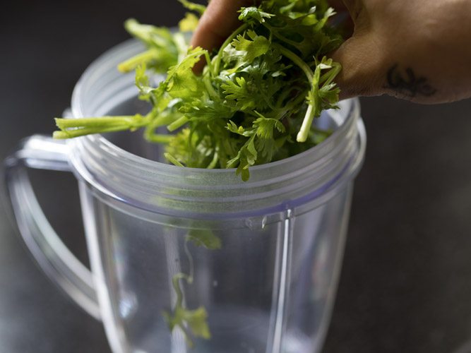adding coriander leaves in a blender jar. 