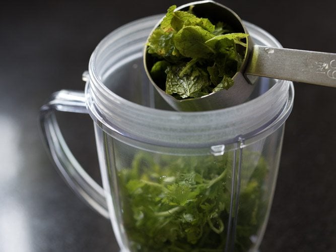adding mint leaves in blender jar. 