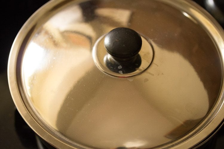 cover pan with a lid and steam