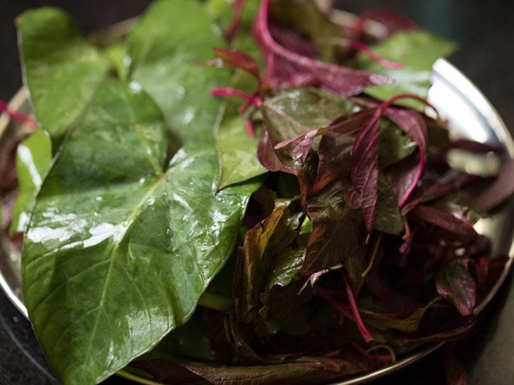 rinsed colocasia leaves and red amaranth leaves for rishi panchami bhaji. 