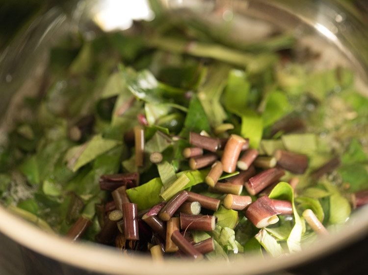 chopped leafy greens along with stems added to pan for rishi panchami bhaji. . 