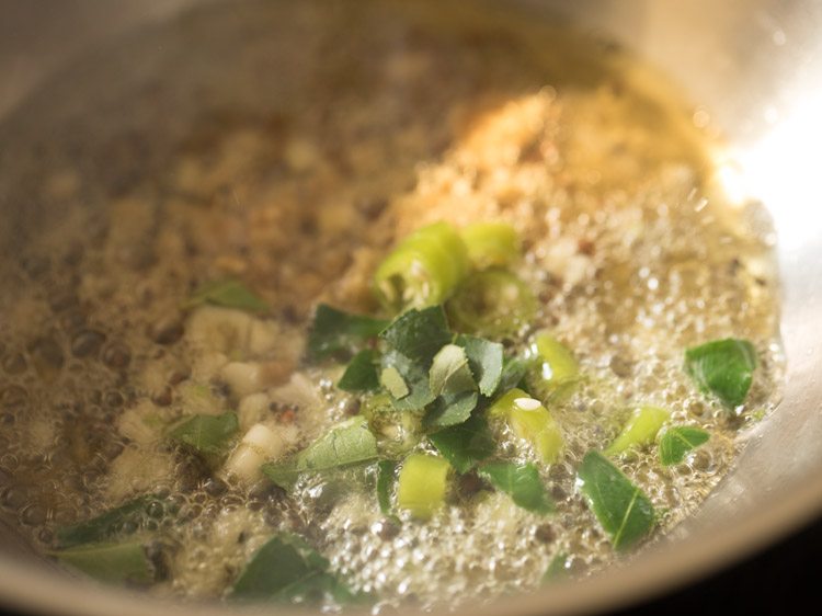 chopped ginger, chopped garlic, finely chopped green chilies and chopped curry leaves added to the pan. 