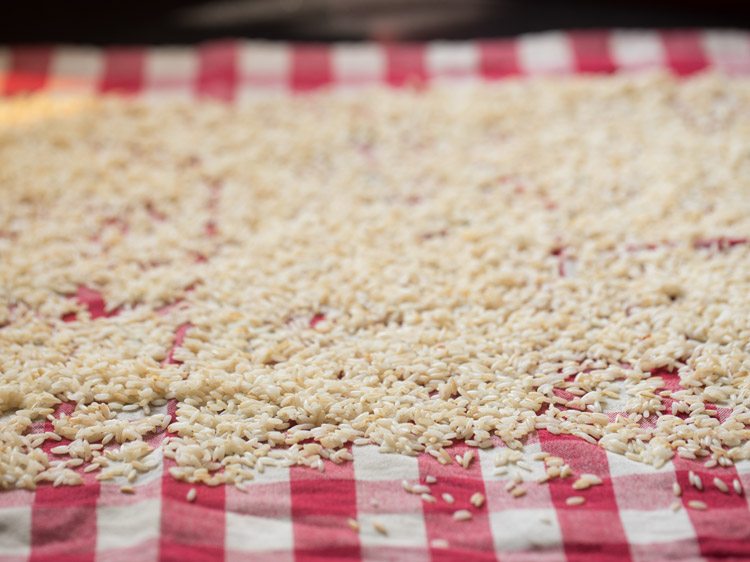 drying drained rice grains on a clean kitchen napkin. 