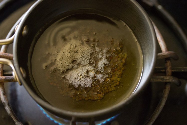 mustard seeds crackling in hot sesame oil for tempering. 