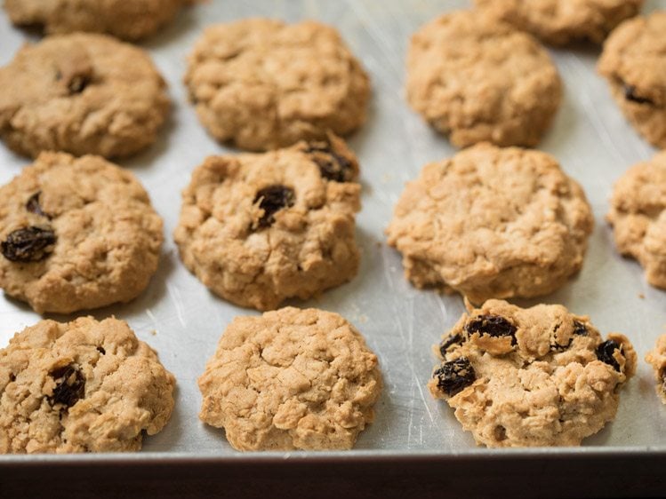 oatmeal cookies on the baking tray after baking.