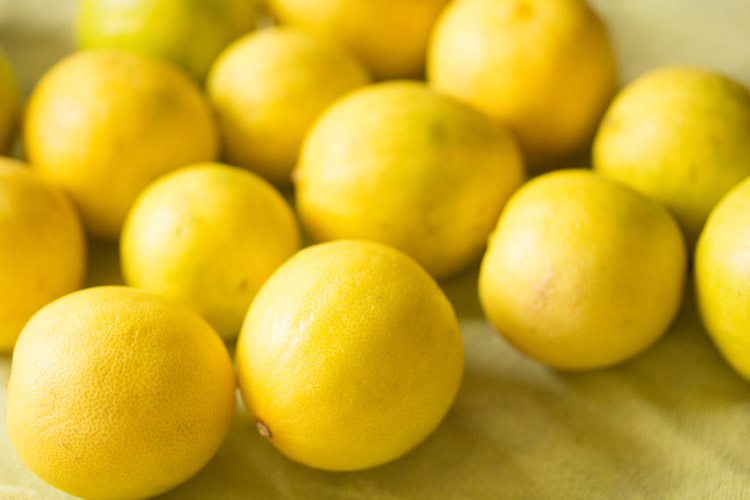 lemons to make sweet lemon pickle recipe