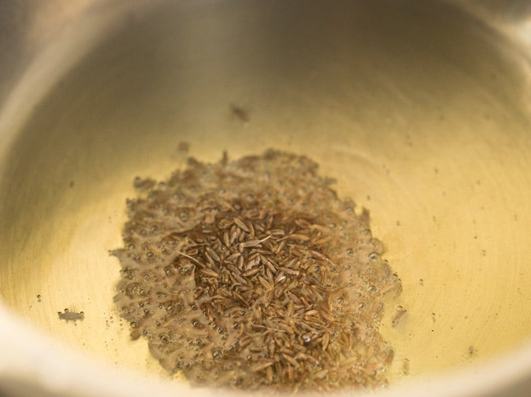 tempering cumin in hot oil.