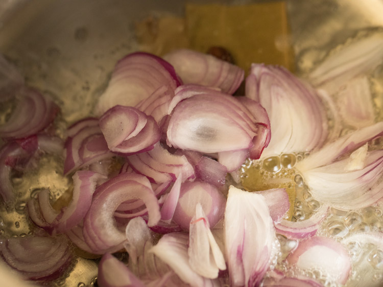 sliced onions added to the spices. 