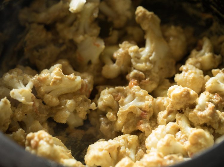 close up of cauliflower being mixed with masala in saucepan