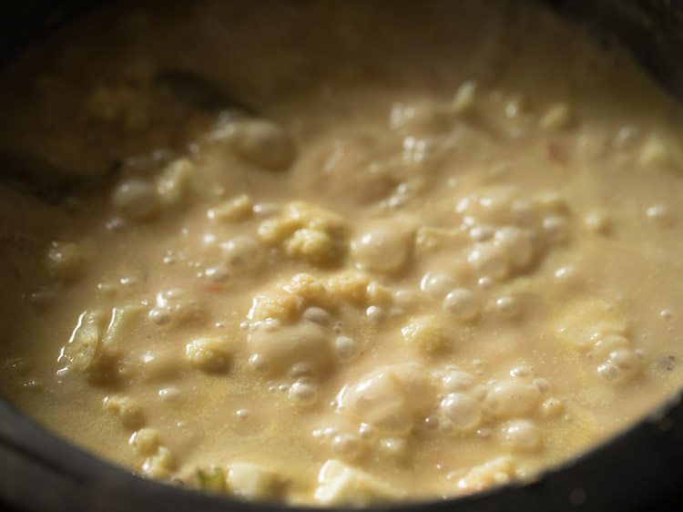 closeup of cauliflower korma cooking in saucepan