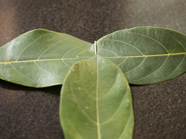 jackfruit leaves for making kotte kadubu recipe