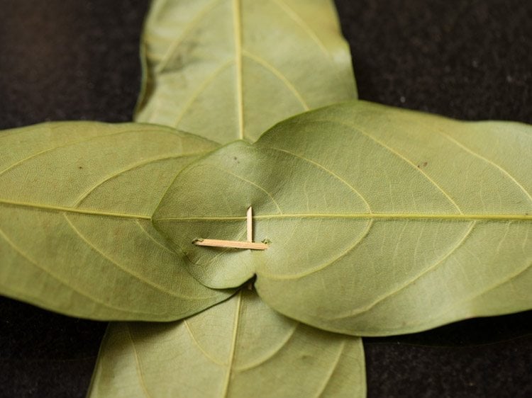 jackfruit leaves for making kotte kadubu recipe