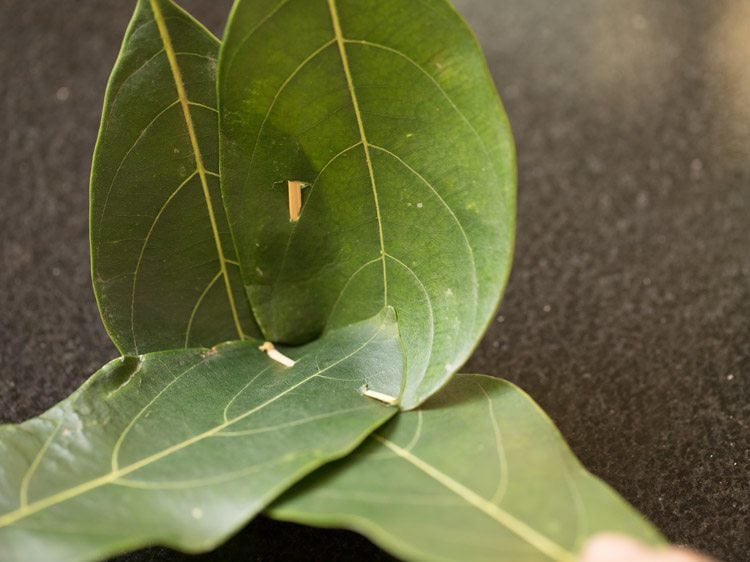 jackfruit leaves for making kotte kadubu recipe