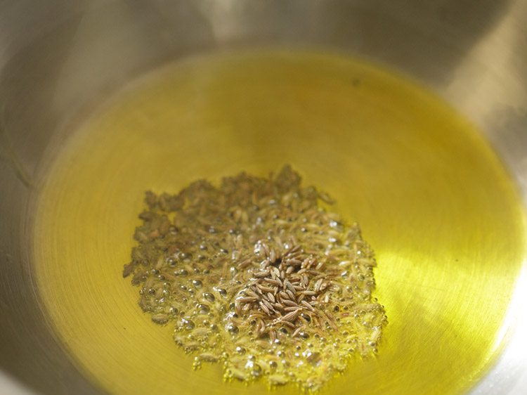 cumin seeds added to mustard oil in pan. 