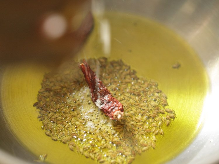 dried red chili and asafoetida added to pan. 