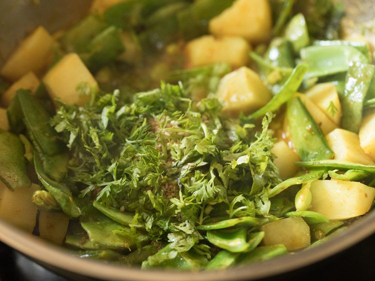 chopped coriander leaves added to aloo sem ki sabji. 