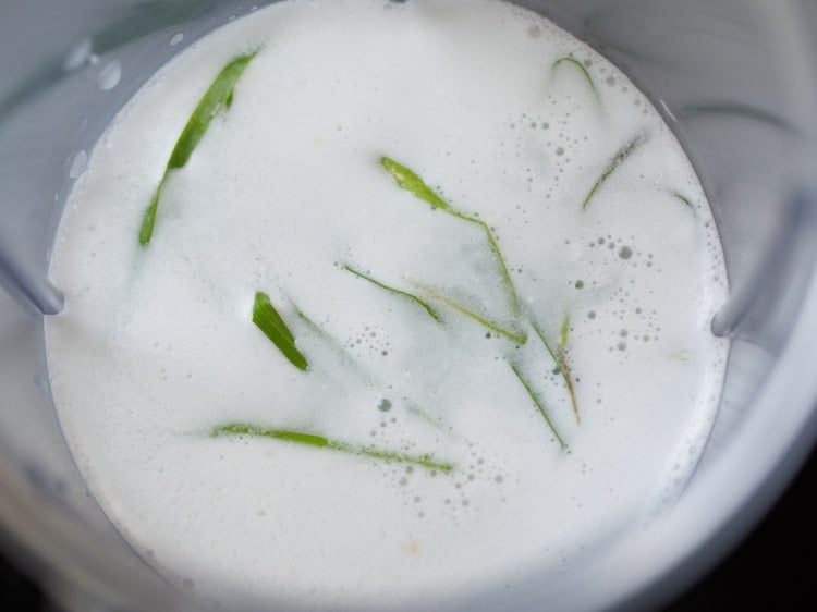 coconut milk and wheatgrass strands floating on top in blender