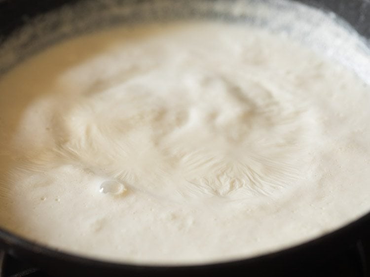milk for making Bengali mishti doi recipe