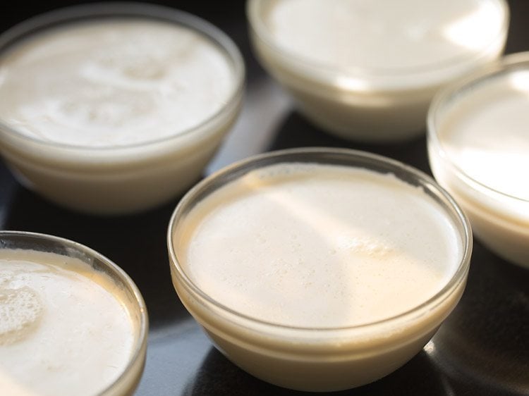 panna cotta mixture without gelatin poured into clear bowls for setting