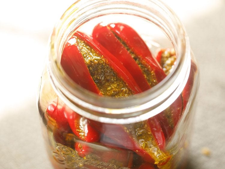 shaking the jar to coat the stuffed red chilies with the mustard oil 