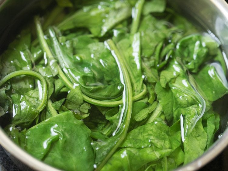 blanched spinach leaves in cold water