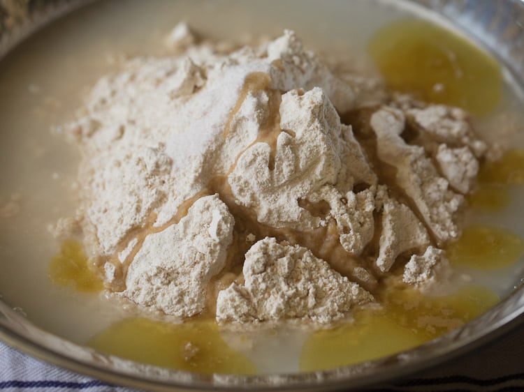 whole wheat flour, olive oil and salt added to the dissolved yeast mixture. 