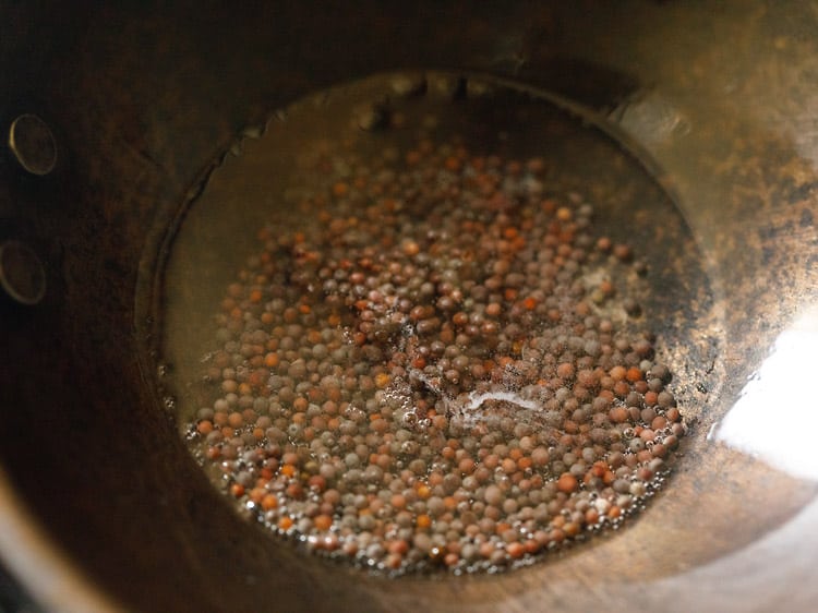 tempering mustard seeds in oil.