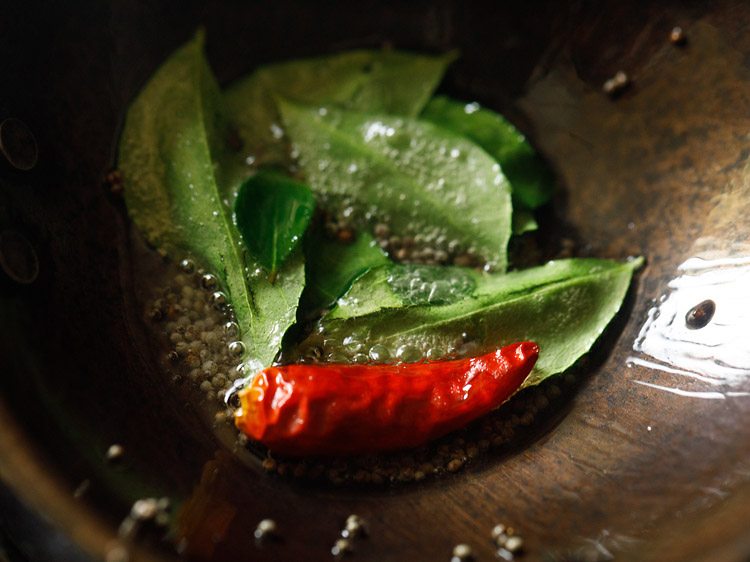 red chile and curry leaves added to tadka.