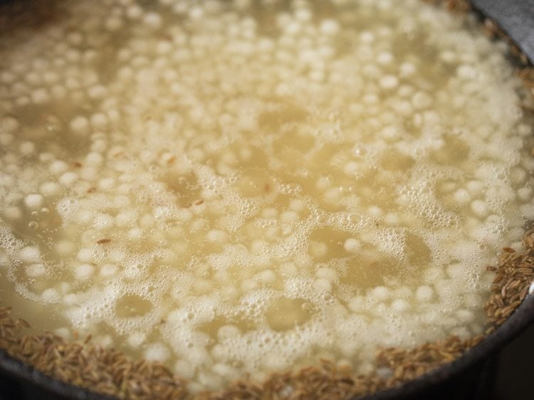 making sabudana papad recipe