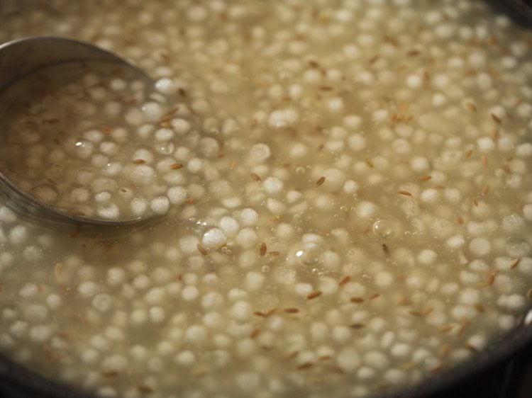 making sabudana papad recipe