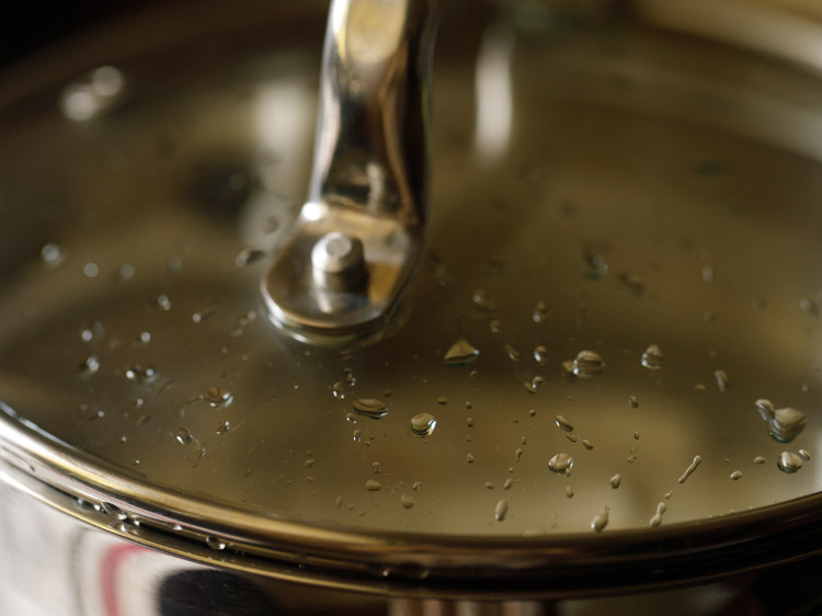 cooking kappa in covered pan. 