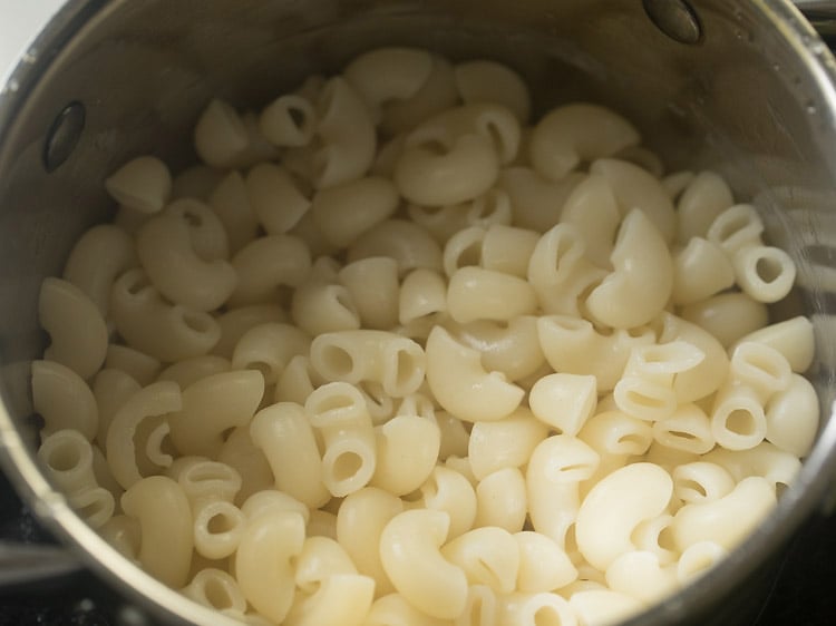 cooked macaroni