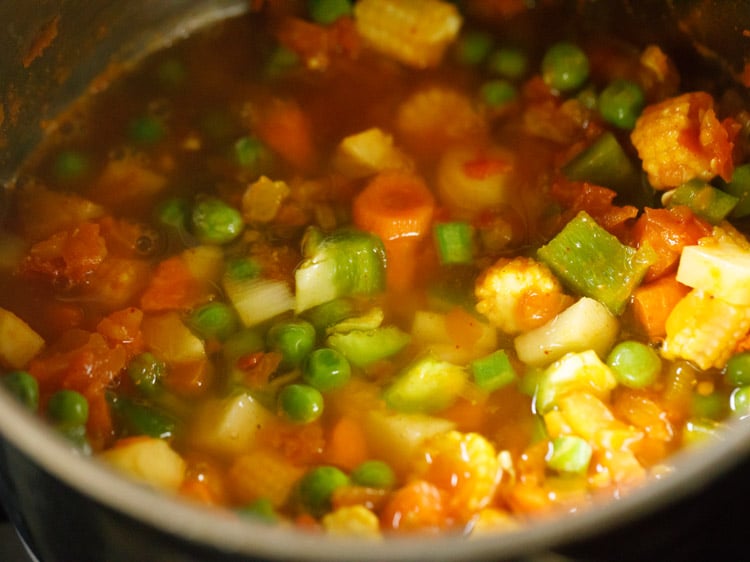 veggies mixed with water