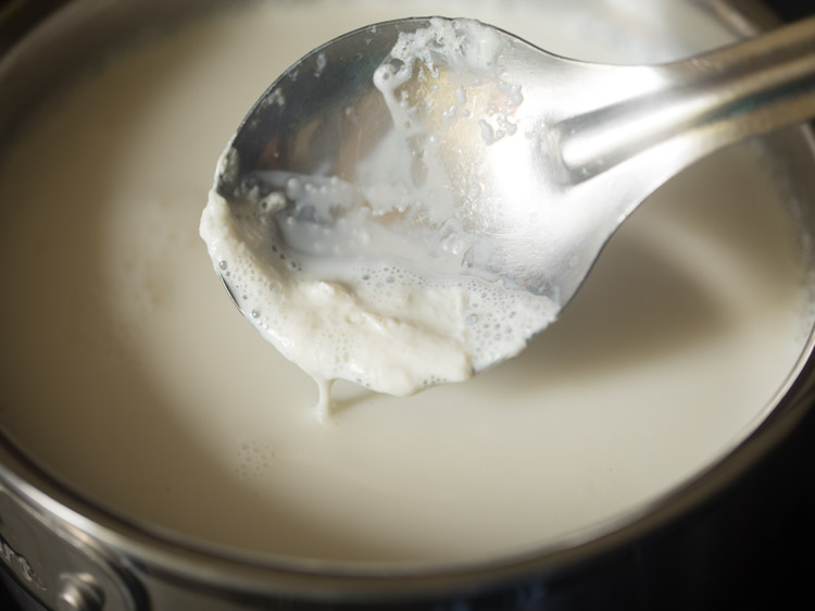 clotted cream layer formed on top of boiling milk. 