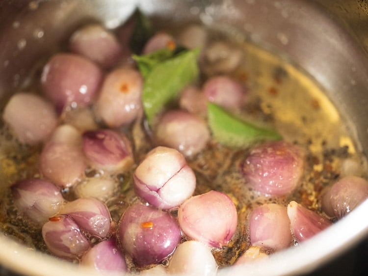 sauteing the onion in the pan