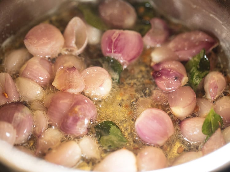 sauteing the onion in the pan