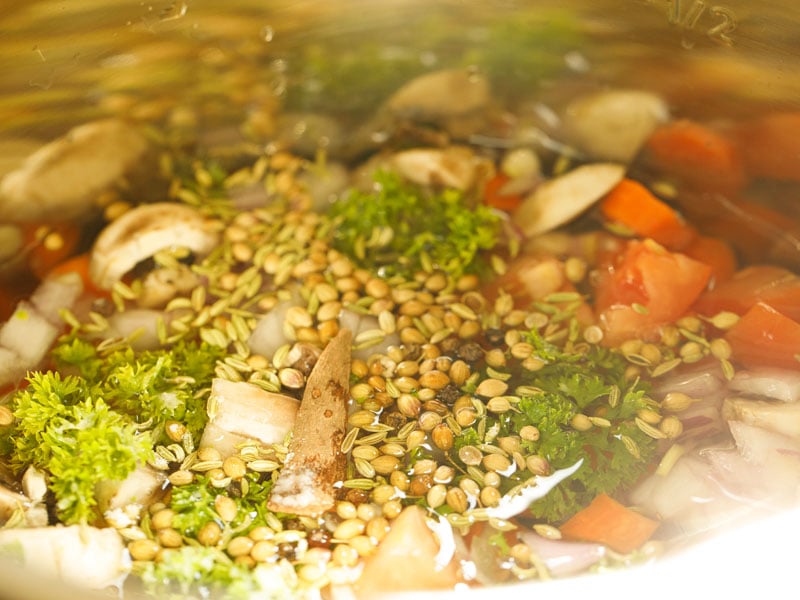 todos los ingredientes del caldo de verduras y el agua se agregaron al tazón de la olla instantánea