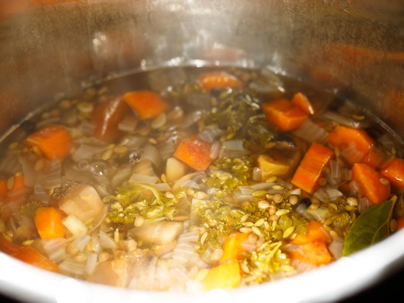 vegetable broth with all solids remaining in the Instant Pot