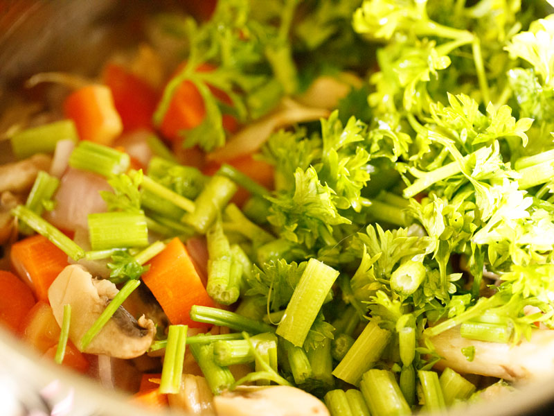 vegetables, celery and parsley in stockpot