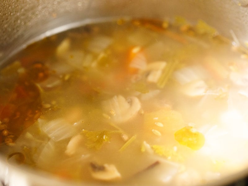 finished homemade vegetable broth prior to straining