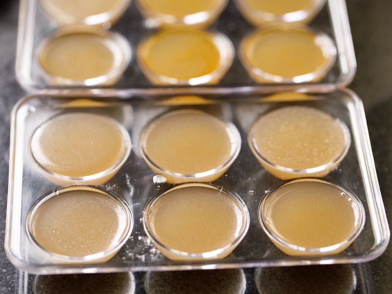 ice cube trays filled with homemade vegetable stock