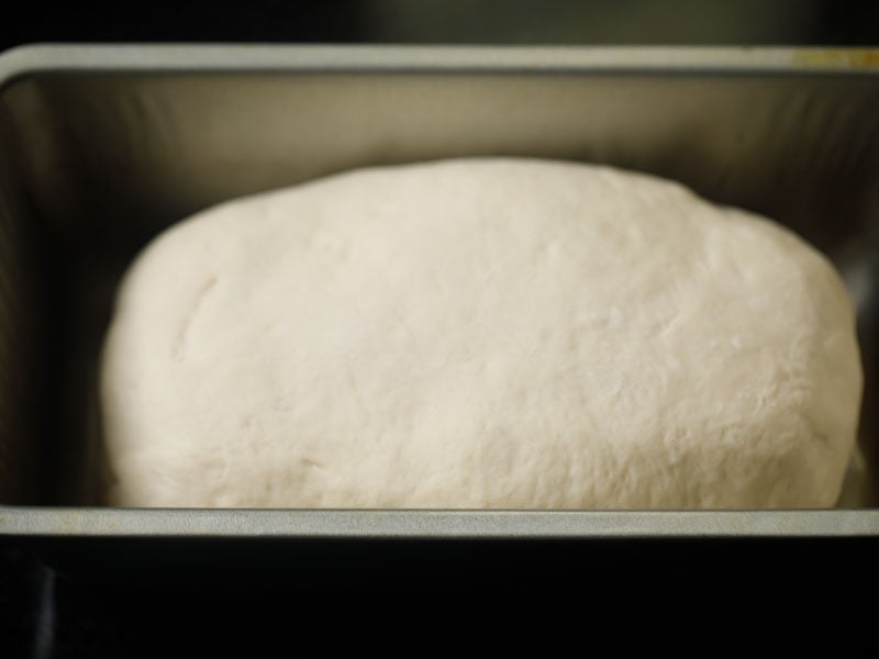 dough placed in a loaf pan