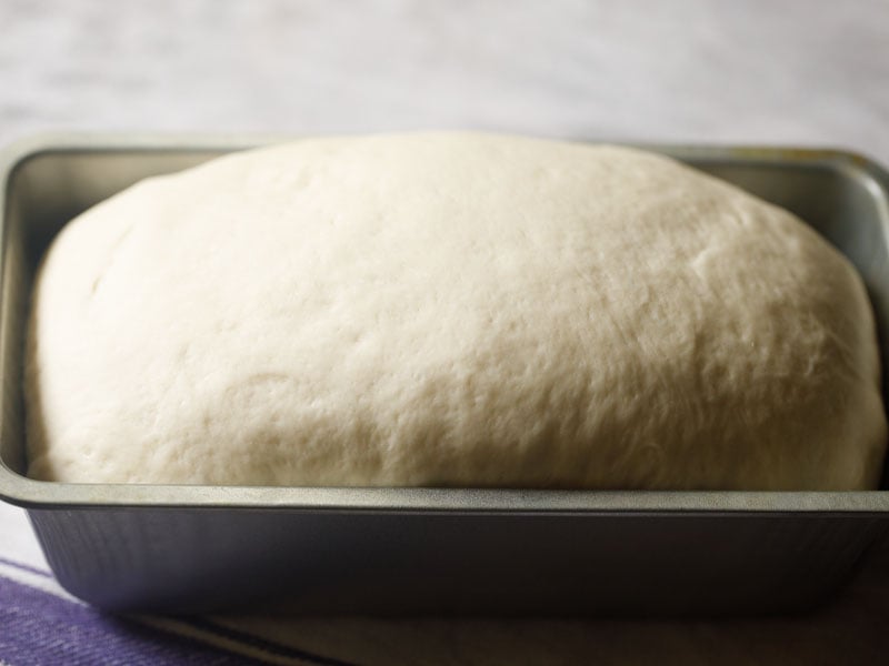 white-bread8 loaf doubled up