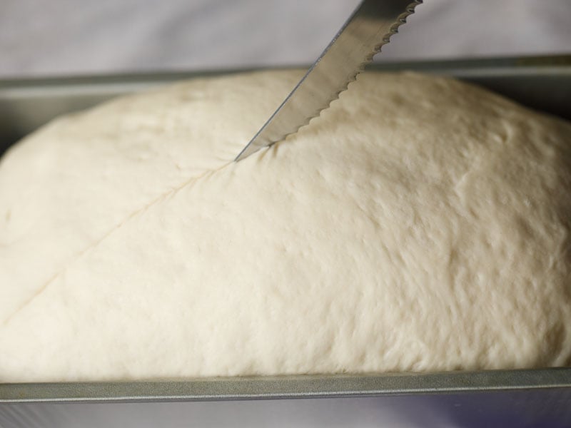 a slit being made on the loaf with a serrated knife