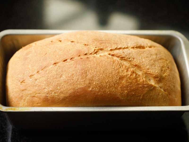 bread baked beautifully in the loaf pan with a golden crust