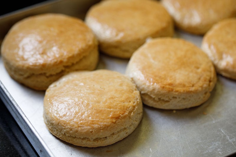 shortcakes baked golden for strawberry shortcake