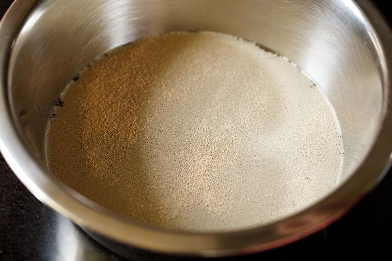 tiny yeast granules on top of water in bowl.