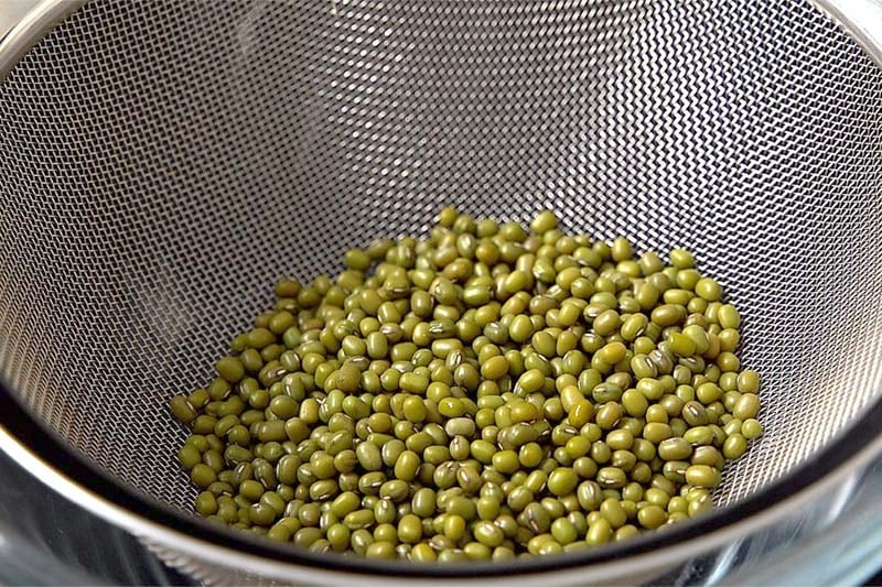 mung beans in a mesh strainer