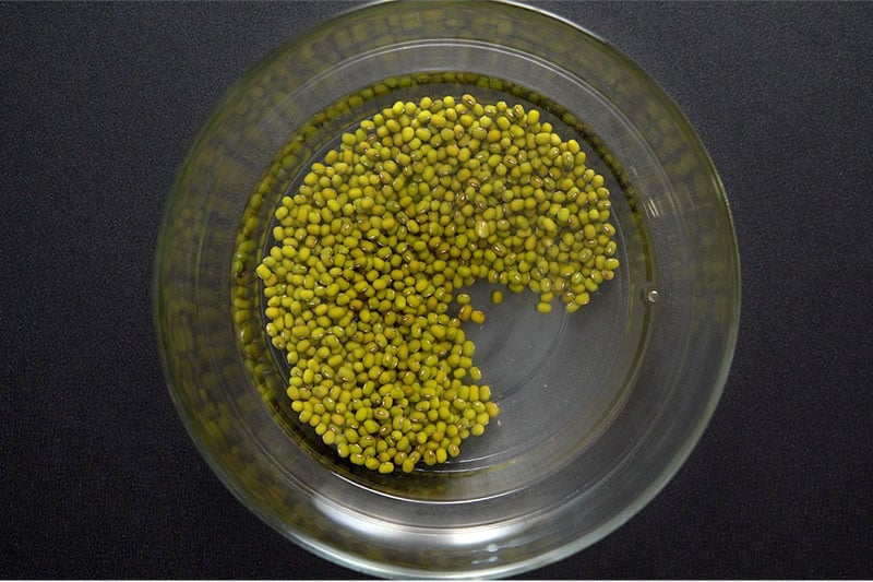 mung beans and water in a bowl