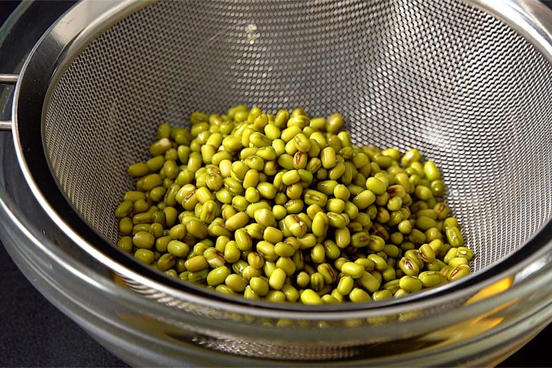 soaked mung beans in a mesh strainer